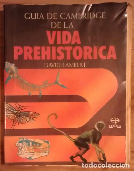 Libros: Gu&iacute;a de Cambridge de la vida prehist&oacute;rica - Lambert, David - Foto 1