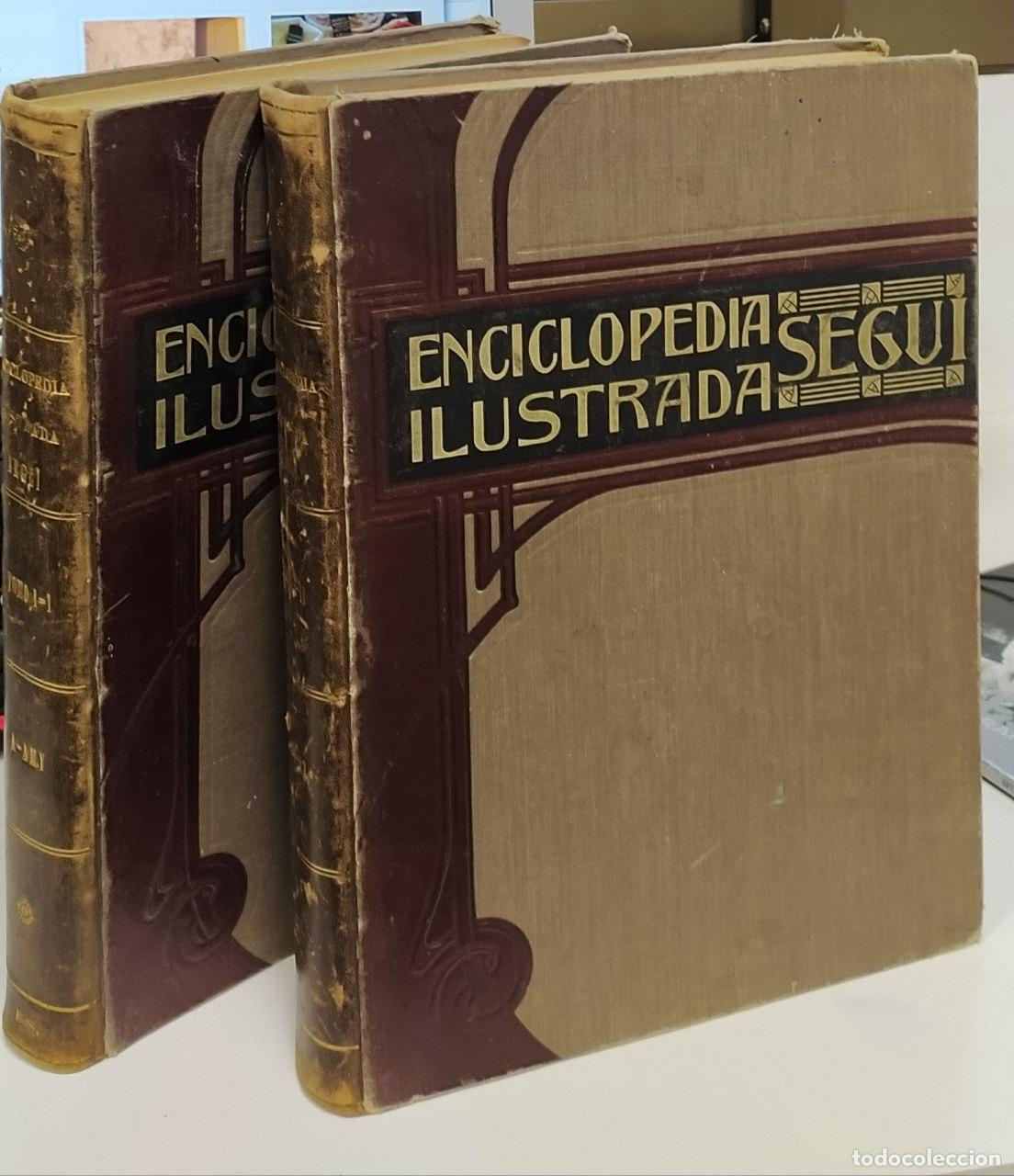 Libros: Enciclopedia ilustrada Segui. (2 tomos) - Foto 1