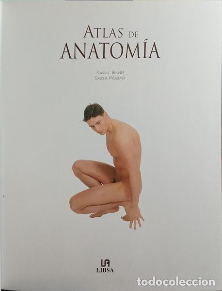 Libros: BENNER. (Klaus-U) e Sascha Wuillemet. - ATLAS DE ANATOM&Iacute;A. - Foto 2