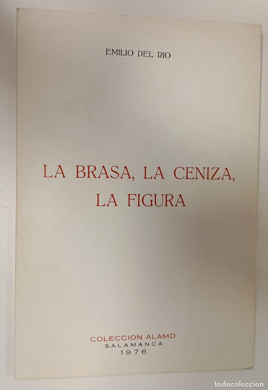 Libros: La brasa, la ceniza, la figura - Emilio del Rio - Foto 1