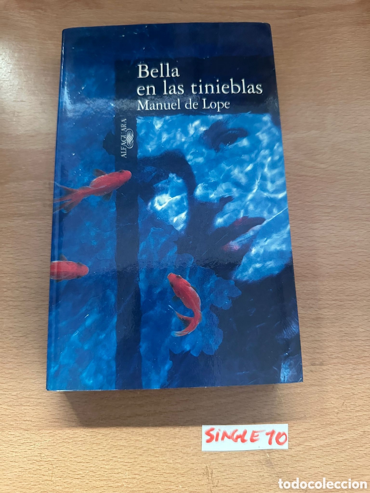 Libros: Novela de Bella en las tinieblas - Foto 1