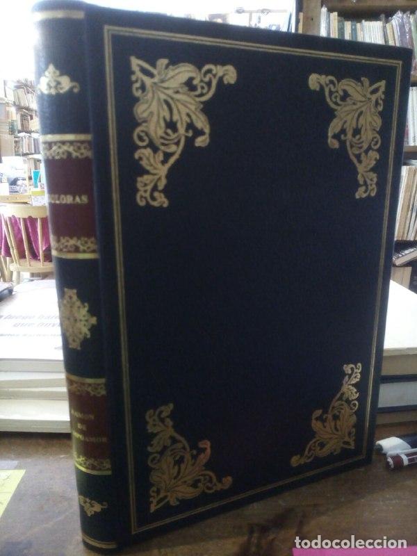 Libros: Doloras (Facs&iacute;mil de la edici&oacute;n de Montaner y Sim&oacute;n de 1901) - Campoamor, Ram&oacute;n de - Foto 1