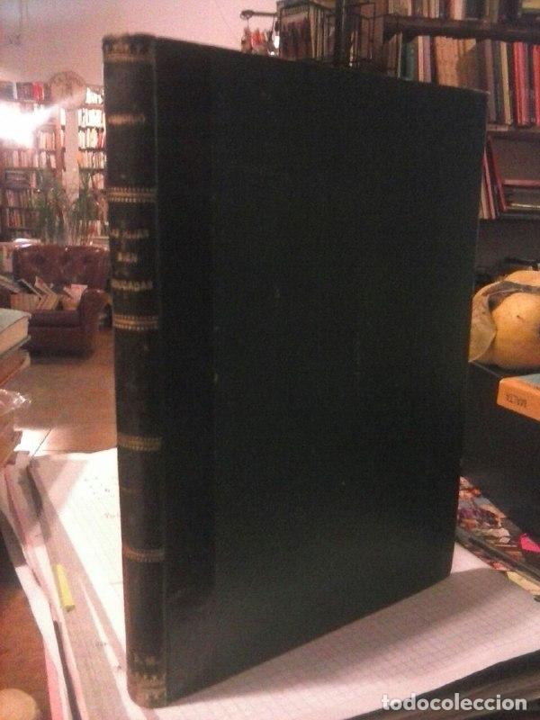 Libros: Las hijas bien educadas - Ossorio y Gallardo, M&ordf; Atocha - Foto 1