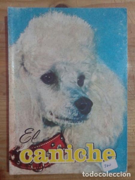 Libros: El caniche - Togagni, H&eacute;ctor - Foto 1