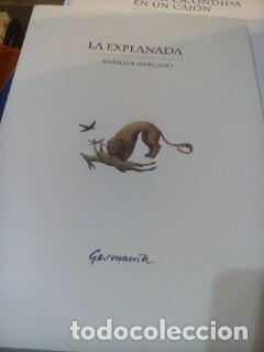 Libros: La explanada - Mercado, Enrique - Foto 1