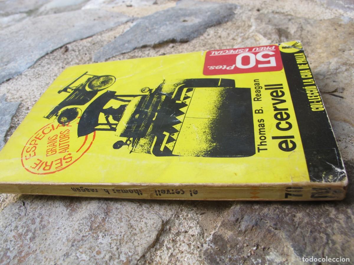 Libros: EL CERVELL. THOMAS B. REAGAN. COL.LECCIO DE LA CUA DE PALLA. - Foto 1