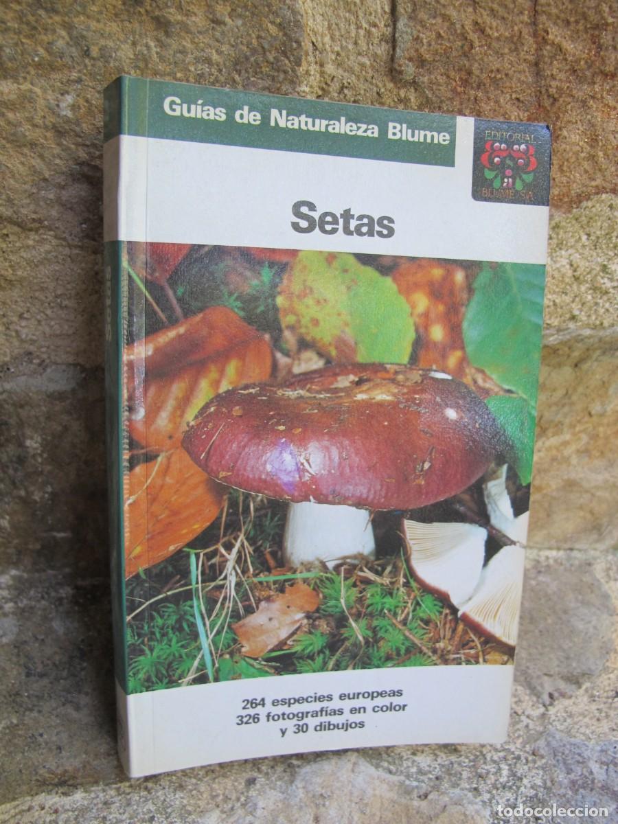 Libros: SETAS. GUIAS DE LA NATURALEZA BLUME - Foto 1