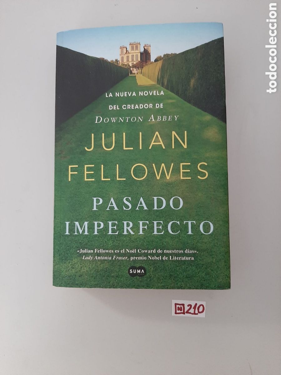 Libros: Pasado imperfecto Juli&aacute;n fellowes - Foto 1