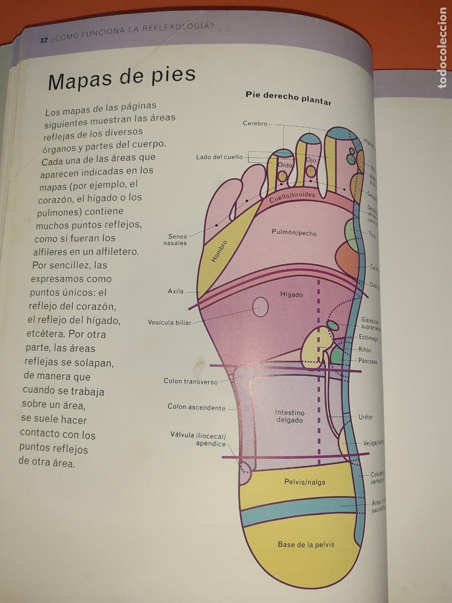 Libros: MANUAL COMPLETO DE REFLEXOLOGIA � MASAJES - ANN GILLANDERS - Foto 5