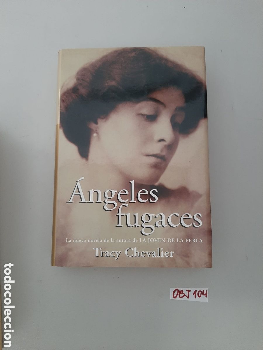 Libros: Libro de los &Aacute;ngeles fugaces - Foto 1