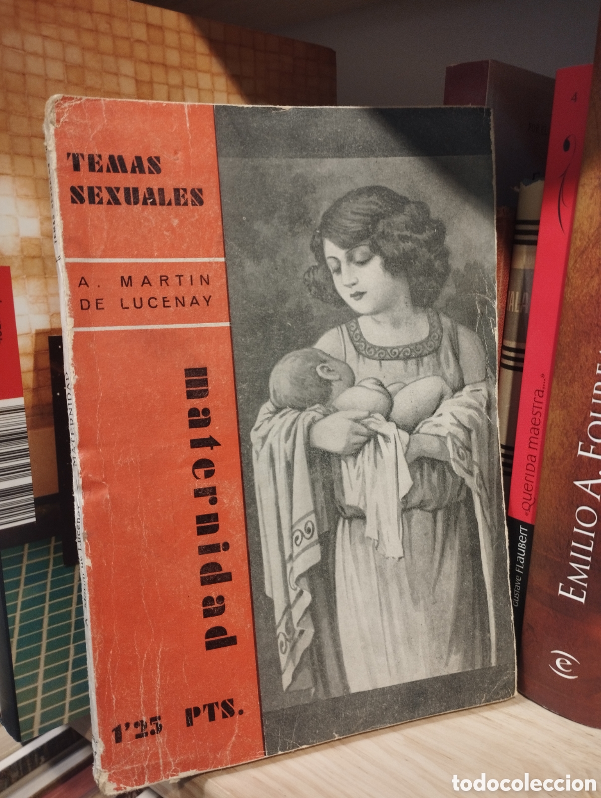 Libros: Temas sexuales, N. 17. La maternidad - A. Mart&iacute;n de Lucenay