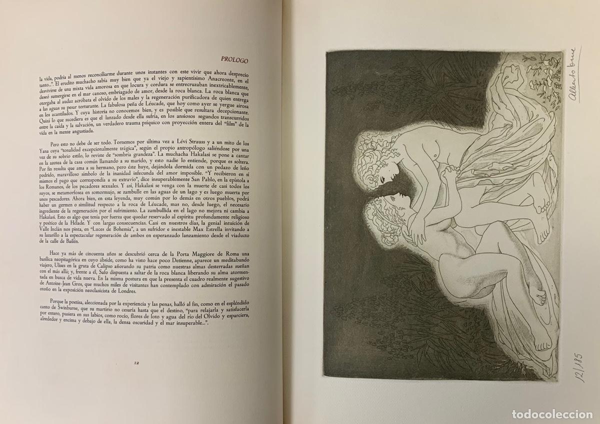 Libros: Poemas - Safo - Foto 6
