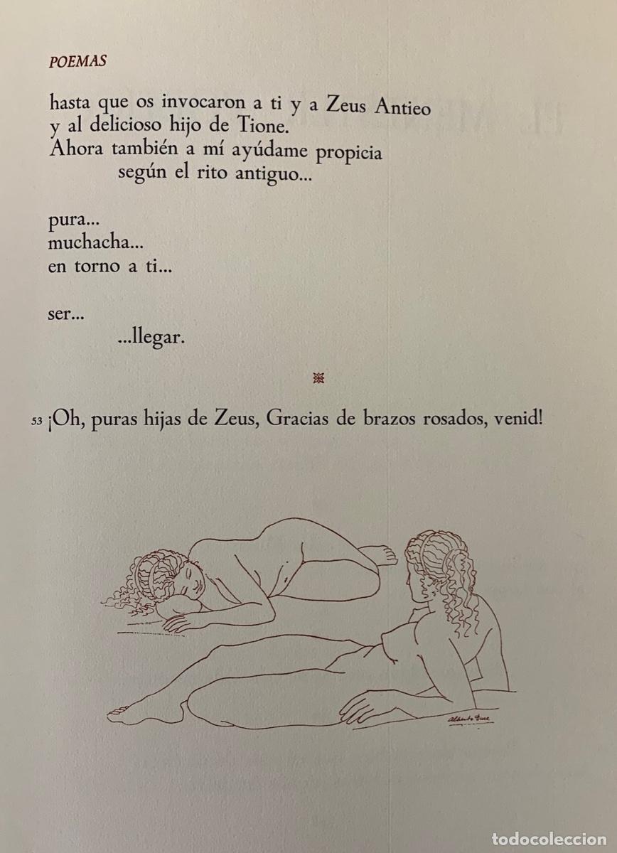 Libros: Poemas - Safo - Foto 7