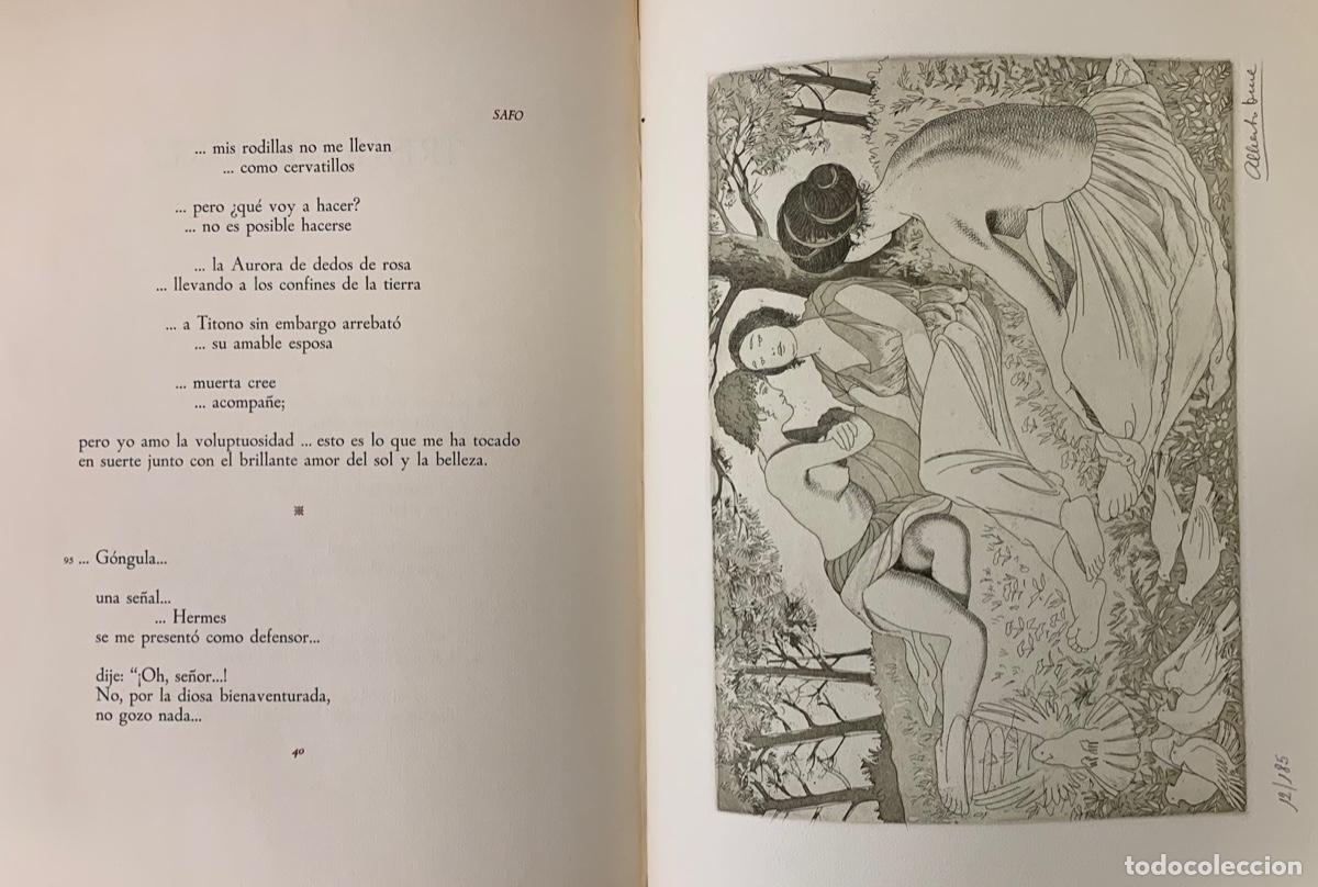 Libros: Poemas - Safo - Foto 10