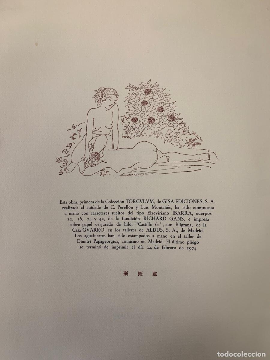 Libros: Poemas - Safo - Foto 11