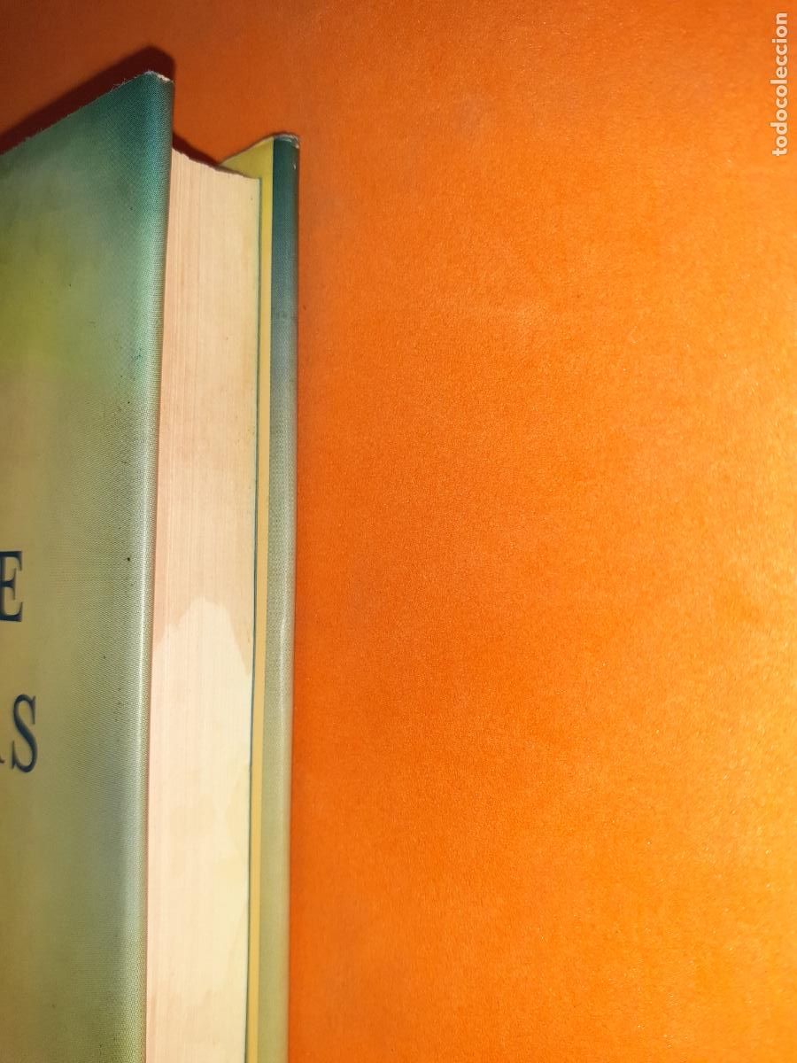 Libros: EL PODER DE LAS PALABRAS � NUEVA ESPIRITUALIDAD - KEVIN HALL - Foto 7