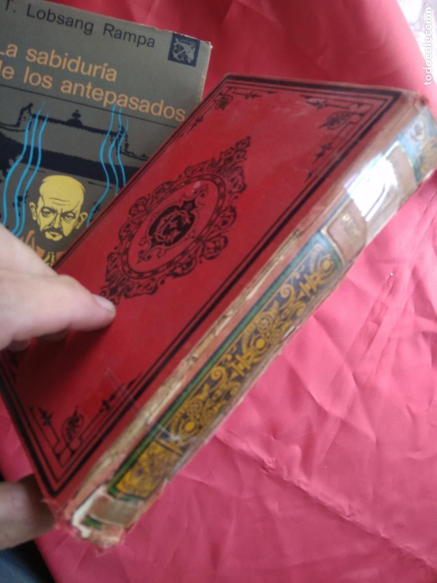 Libros: Le petit Berger C.Fleuriot L.33196 Franc&eacute;s - Foto 3