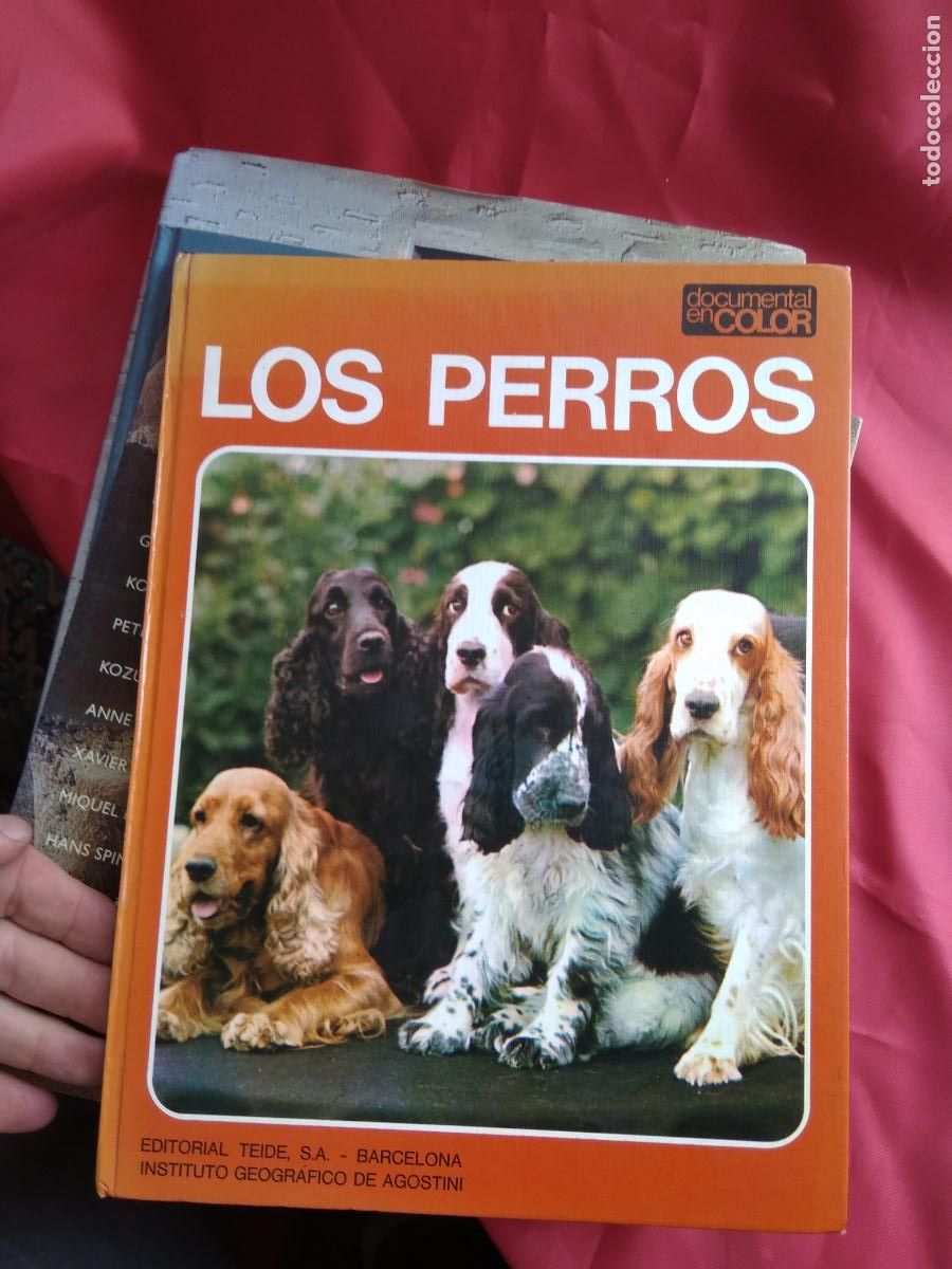 Libros: Los perros. Adriano Torregrosa Q.907 - Foto 2