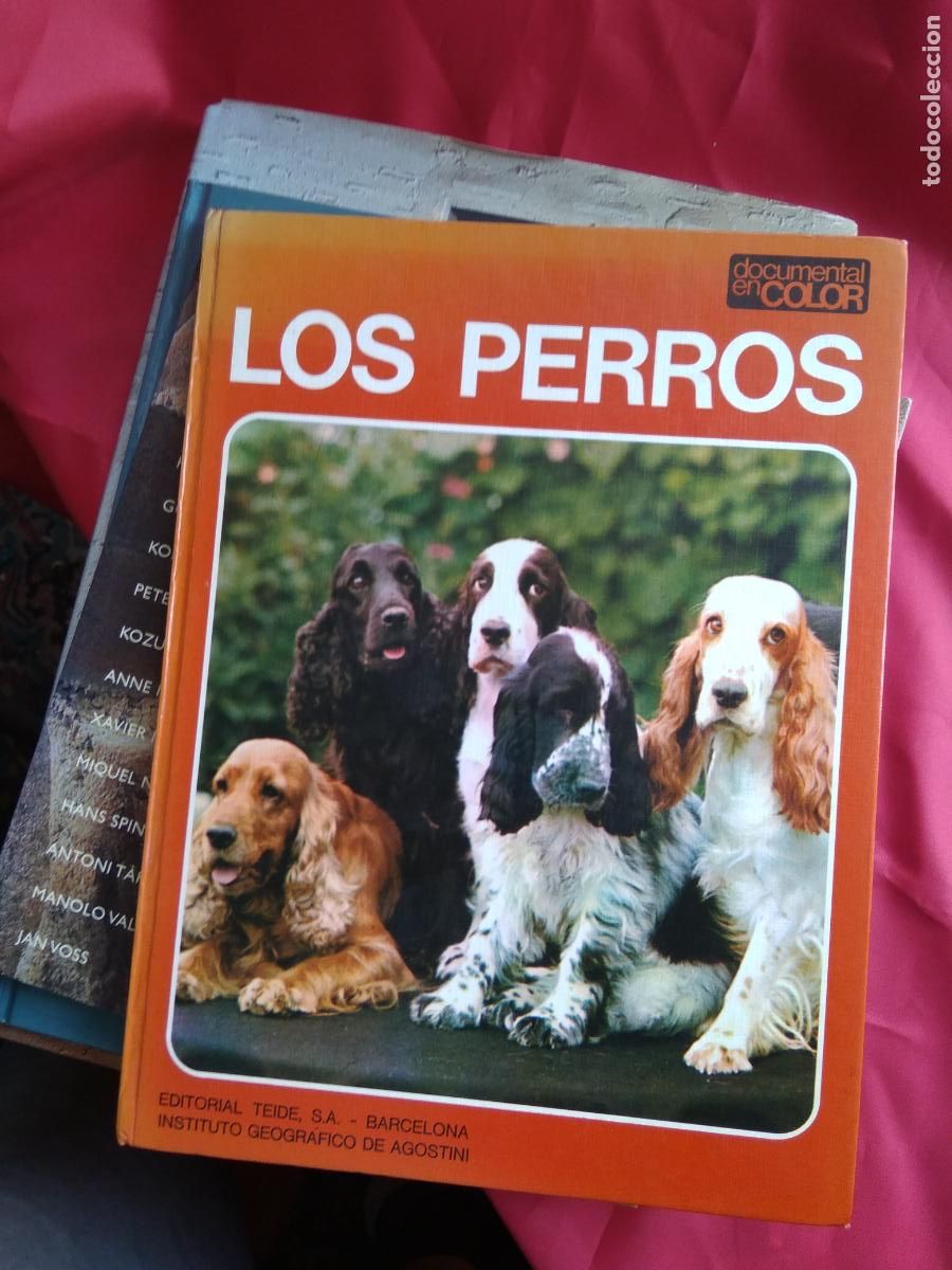 Libros: Los perros. Adriano Torregrosa Q.907 - Foto 1
