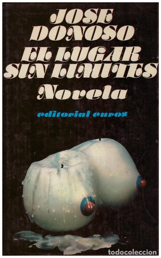 Libros: EL LUGAR SIN LIMITES - Foto 1