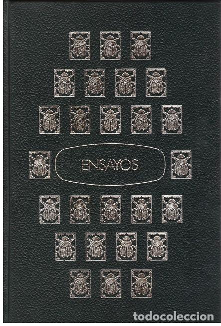 Libros: ENSAYOS - Foto 1