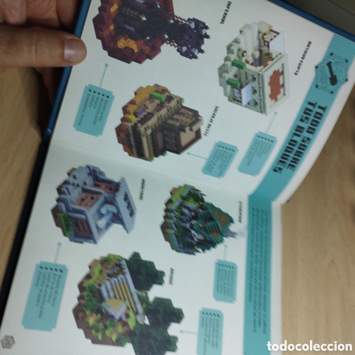 Libros: Minecraft. Manual creativo. 2021. Mojana. HarperCollins. - Foto 5