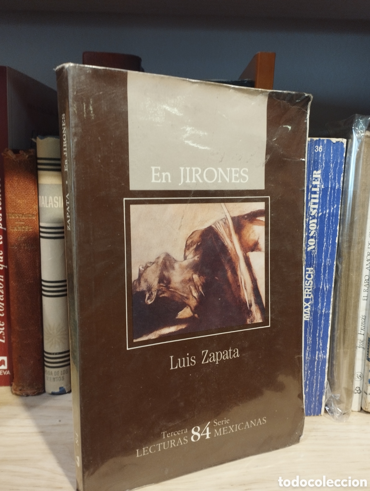 Libros: En Jirones - Luis Zapata - Foto 1