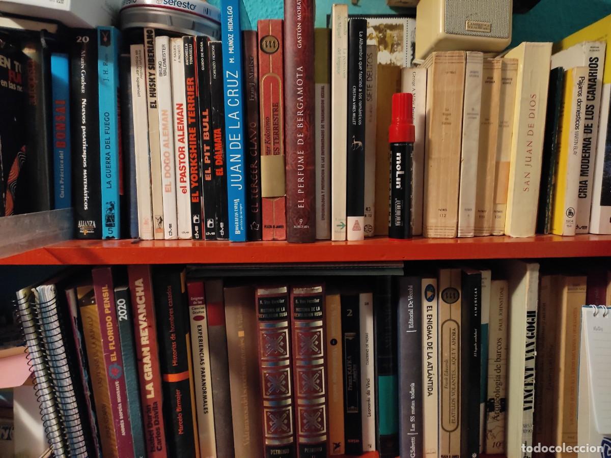 Libros: Novelas, Libros, Enciclopedias, C&oacute;mic. Desde 2&euro;. - Foto 2