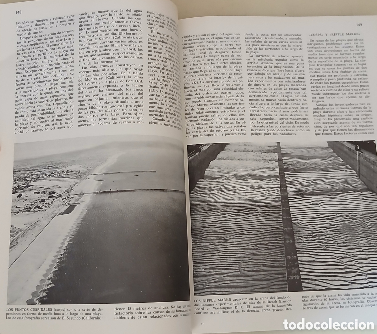Libros: Oceanografia, J.Robert Moore - Foto 7