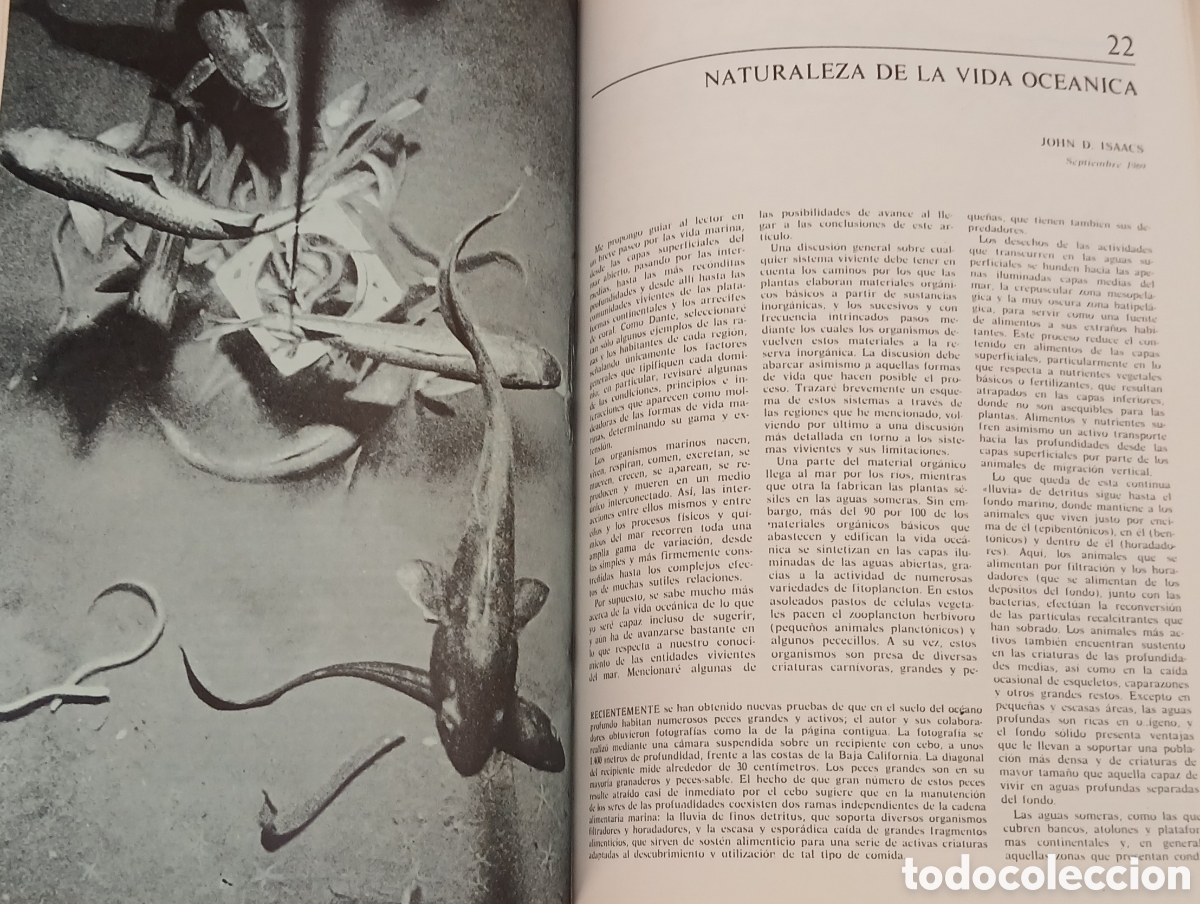 Libros: Oceanografia, J.Robert Moore - Foto 8