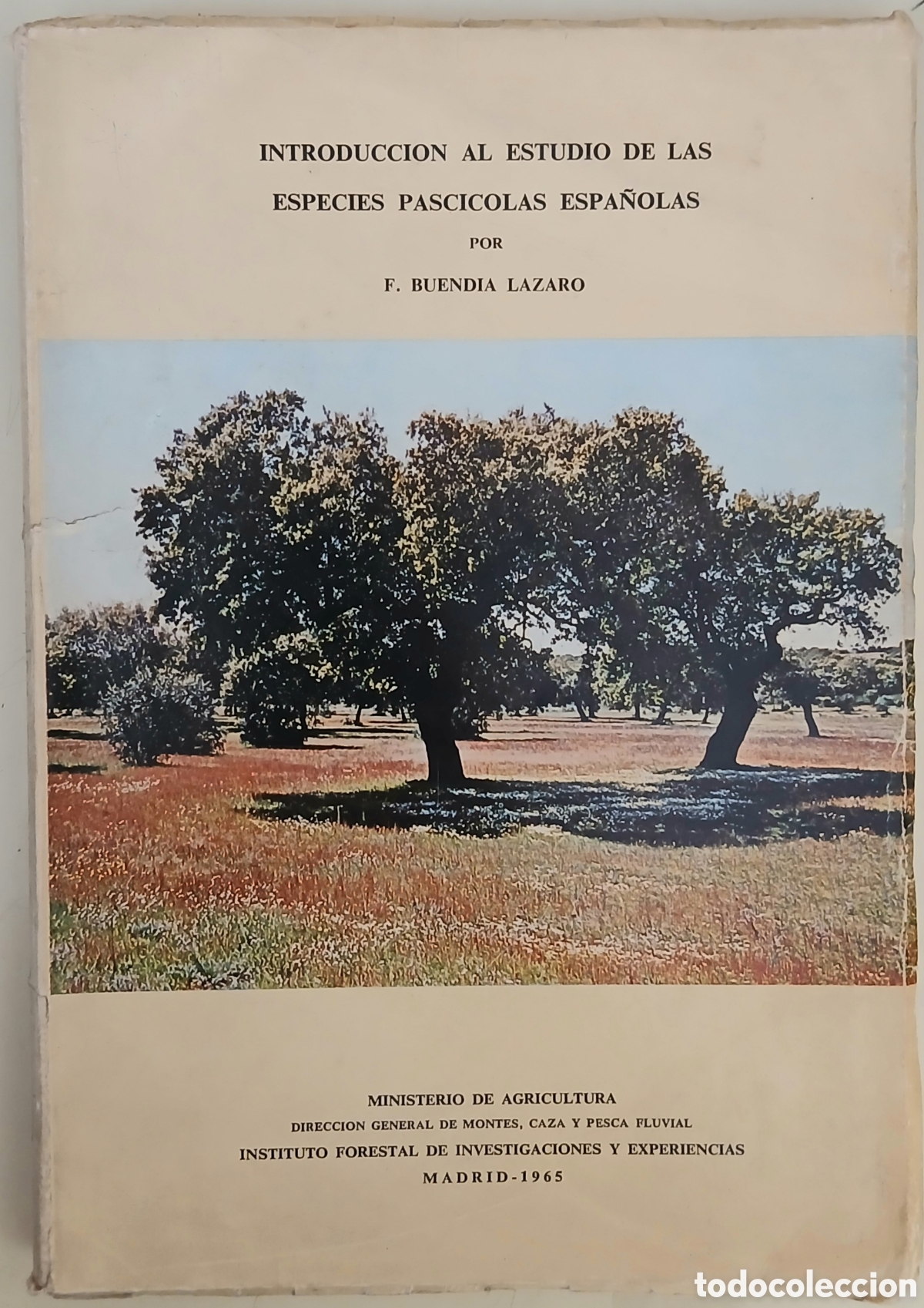 Libros: Introduccion al estudio de las especies espa&ntilde;olas - Foto 1