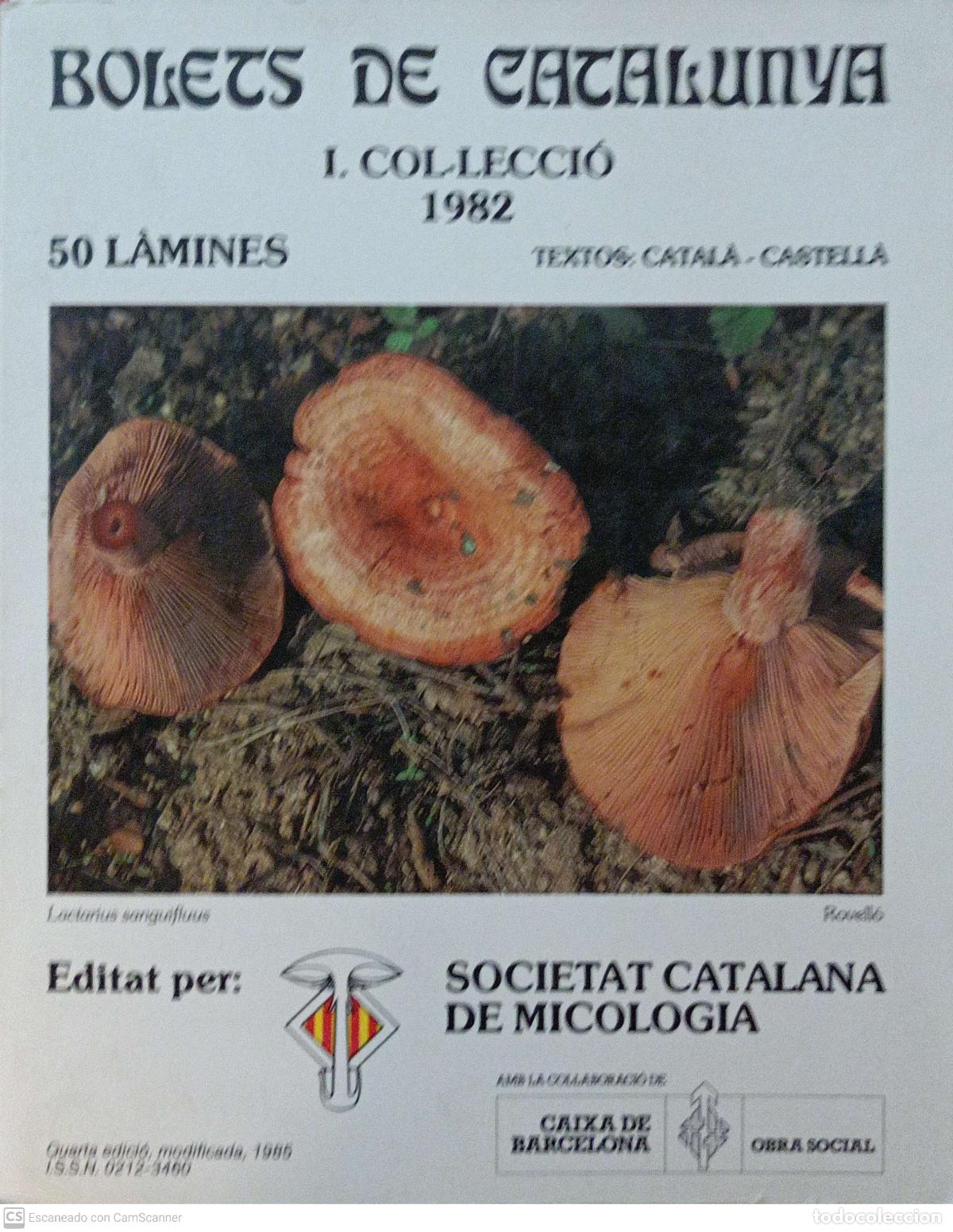 Libros: Bolets de Catalunya - Foto 1