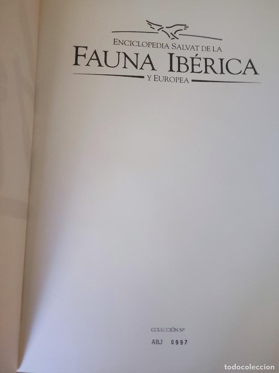 Libros: Fauna Ib&eacute;rica de Rodriguez de la Fuente - Foto 3