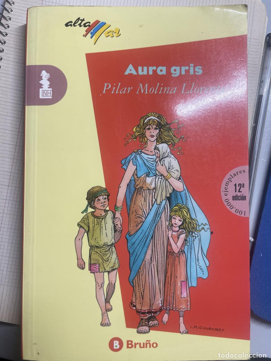 Libros: Aura gris - Molina Llorente, Pilar tdk15 - Foto 1