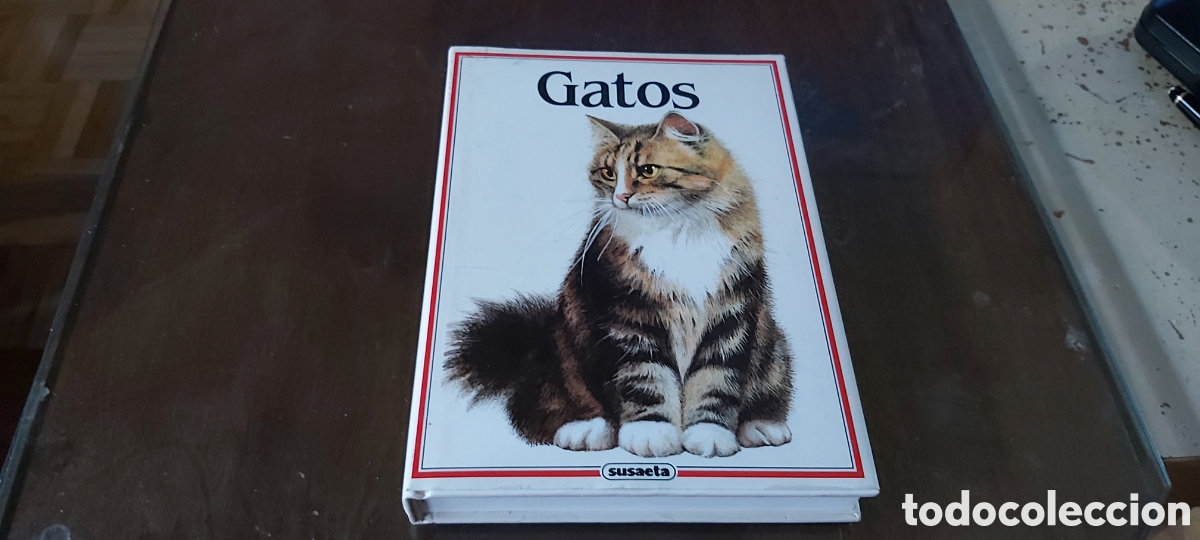 Libros: GATOS. SUSAETA. 222 PAGINAS