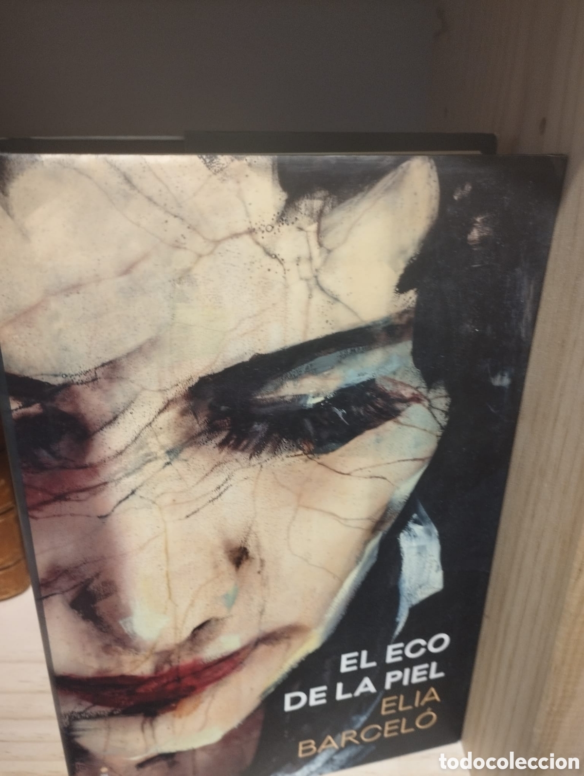 Libros: El eco de la piel - Elia Barcelo - Foto 1