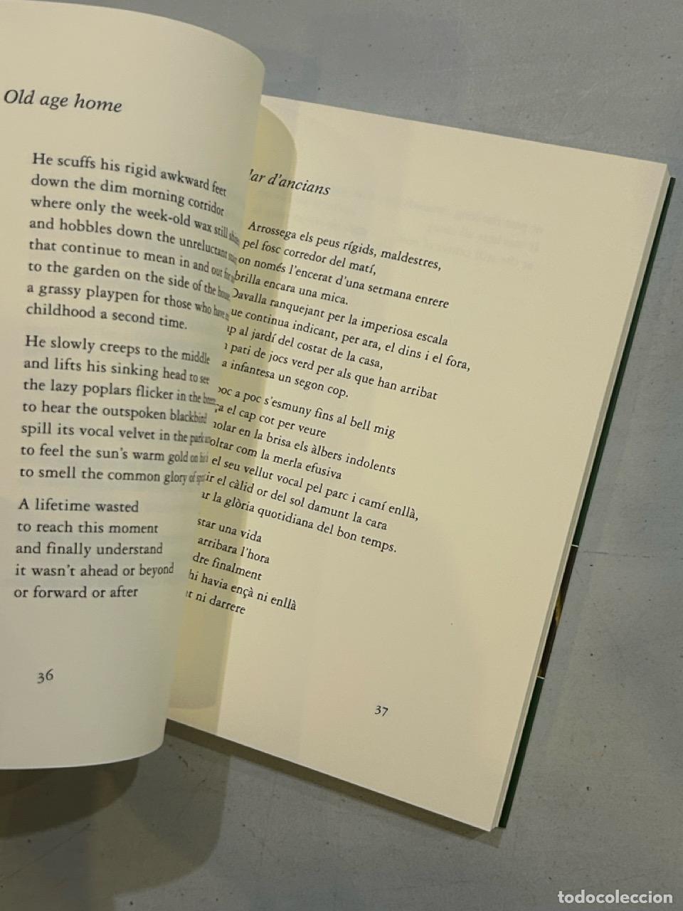 Libros: D. Sam Abrams - Into Footnotes All Their Lust - Foto 2