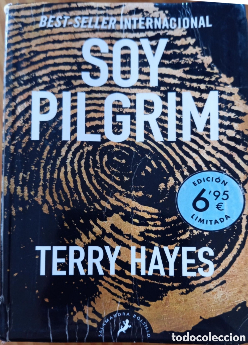 Libros: Soy Pilgrim - Hayes, Terry - Foto 1
