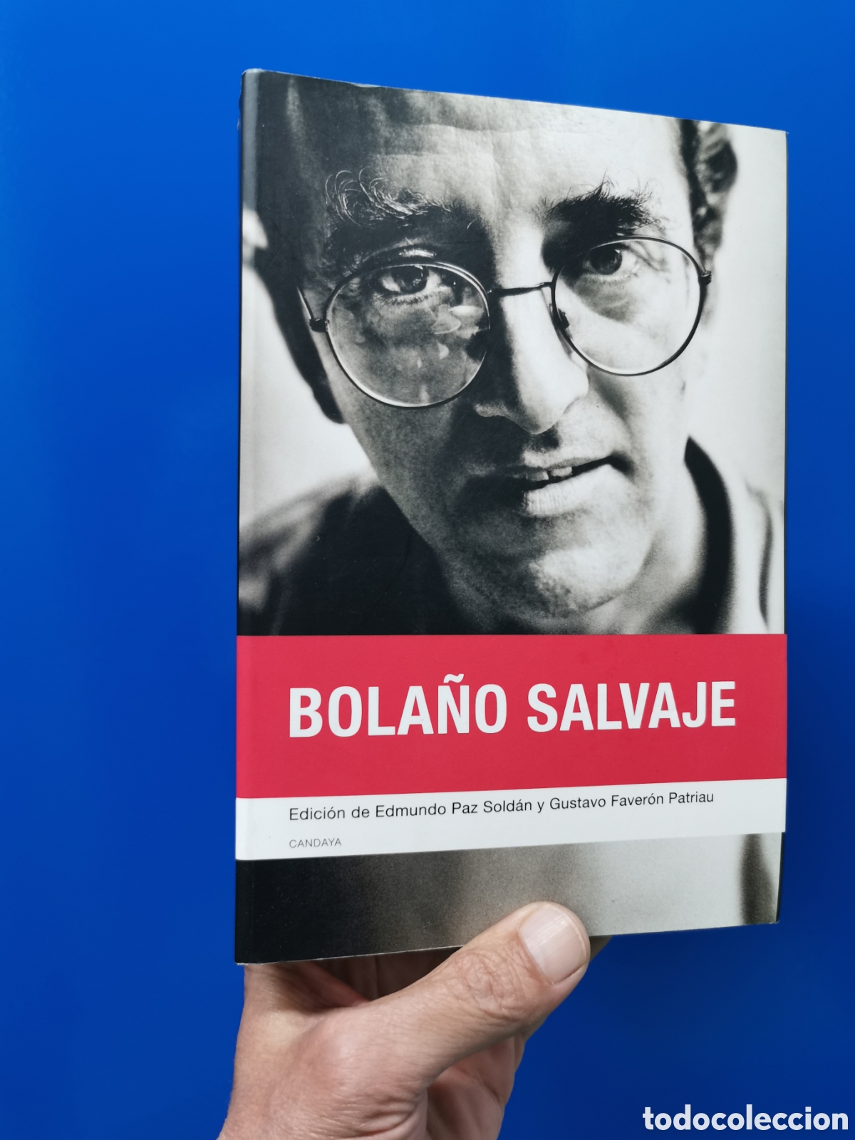 books: BOLA&Ntilde;O SALVAJE. EDICI&Oacute;N DE EDMUNDO PAZ SOLD&Aacute;N Y GUSTAVO FAVER&Oacute;N PATRIAU