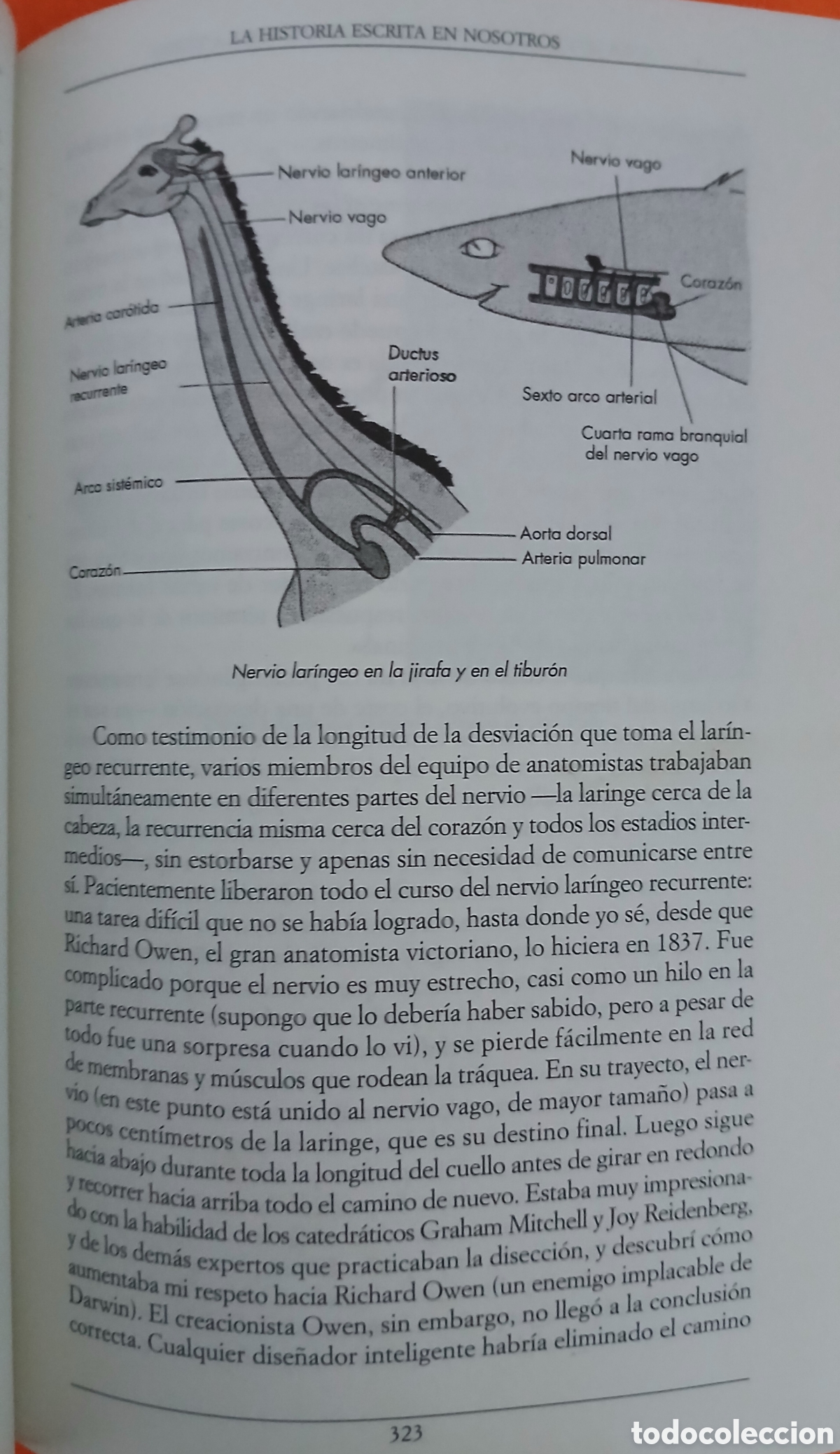 Libros: Evolucion, Richard Dawkins - Foto 9