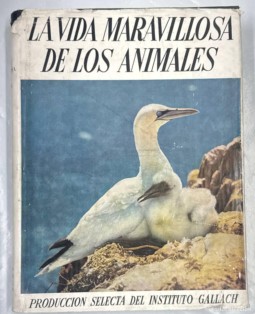 Libros: LA VIDA MARAVILLOSA DE LOS ANIMALES (I) - Foto 1