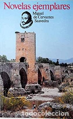 Libros: NOVELAS EJEMPLARES - MIGUEL DE CERVANTES SAAVEDRA - Foto 1