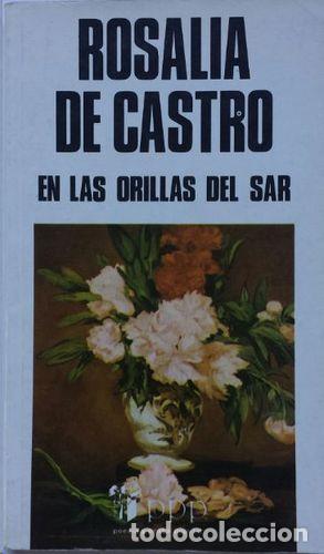 Libros: EN LAS ORILLAS DEL SAR - ROSAL&Iacute;A DE CASTRO - Foto 1
