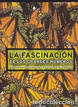 Libros: FASCINACI&Oacute;N DE LOS GRANDES N&Uacute;MEROS - VARIOS - Foto 1