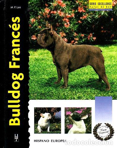 Libros: BULLDOG FRANCES - M P LEE - Foto 1