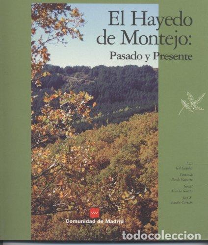 Libros: EL HAYEDO DE MONTEJO. PASADO Y PRESENTE - LUIS A. GIL S&Aacute;NCHEZ - Foto 1