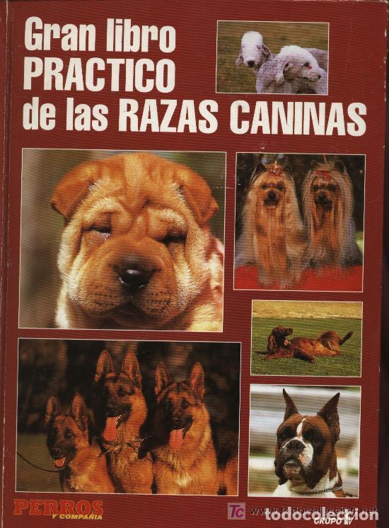 Libros: GRAN LIBRO PRACTICO DE LAS RAZAS CANINAS - VARIOS AUTORES - Foto 1