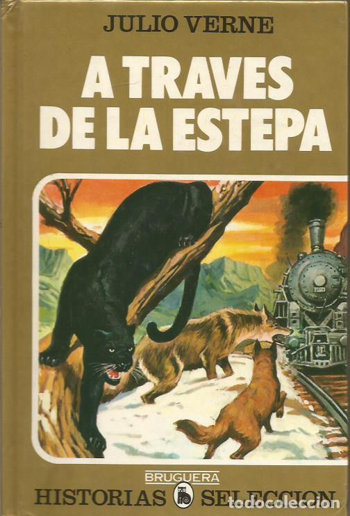 Libros: A TRAVES DE LA ESTEPA - JULIO VERNE - Foto 1