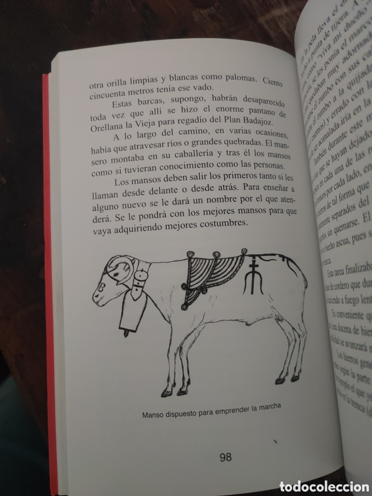 Libros: TRASHUMANCIA - Aniceto Mart&iacute;n Arribas - Foto 3