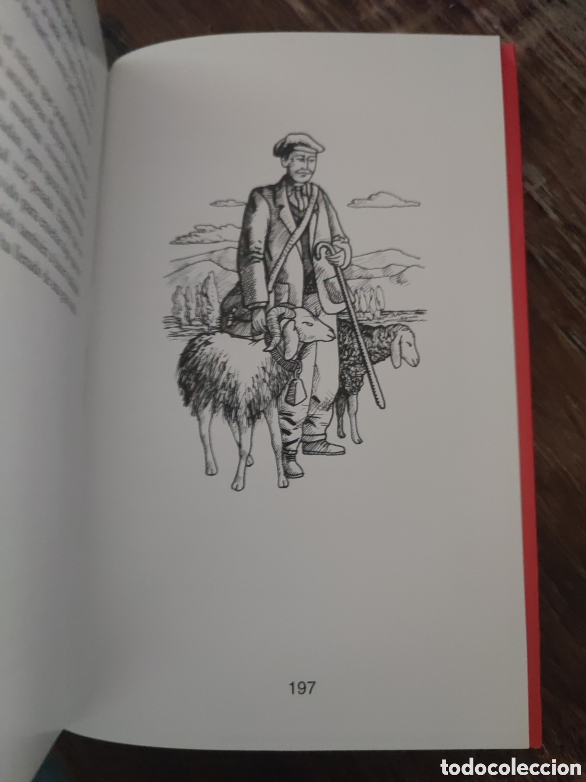 Libros: TRASHUMANCIA - Aniceto Mart&iacute;n Arribas - Foto 4